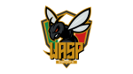 WASP ESPORTS