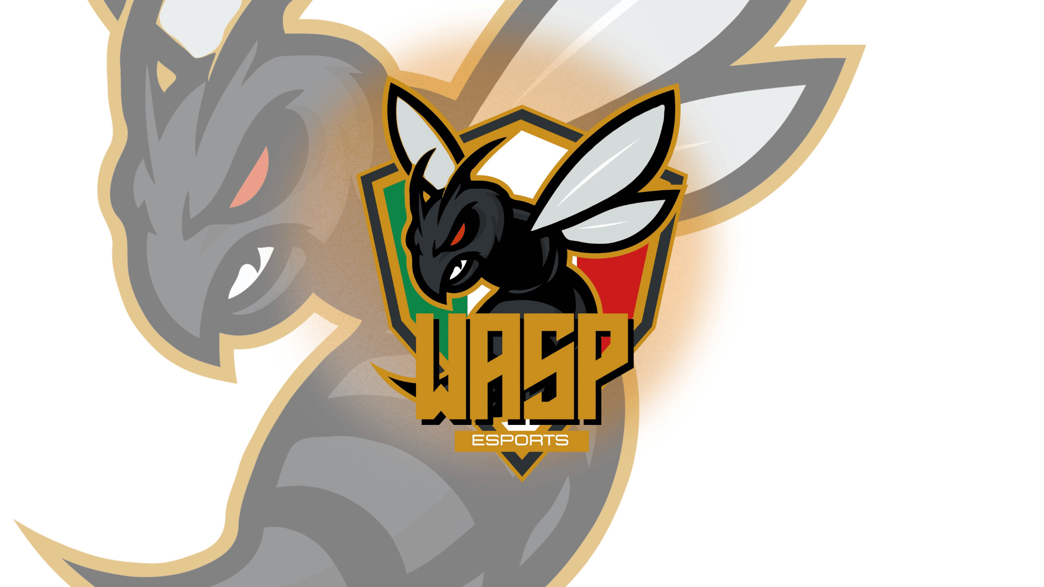 Cover WASP ESPORTS