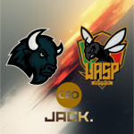 jackwasp